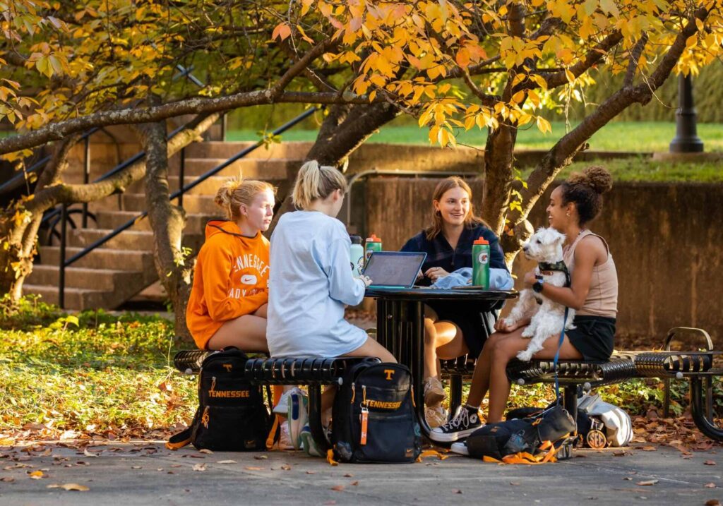 Students gather together at an outside table, one of them is holding a dog