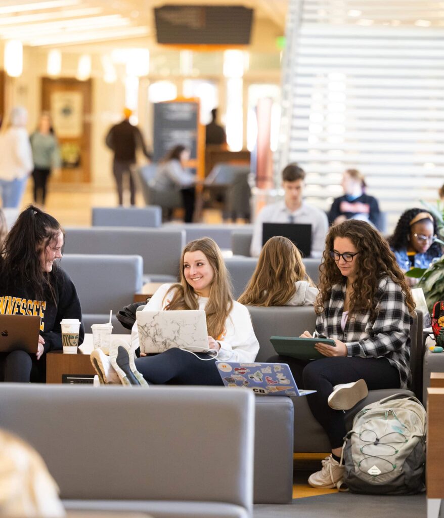 Students study together in the Student Union