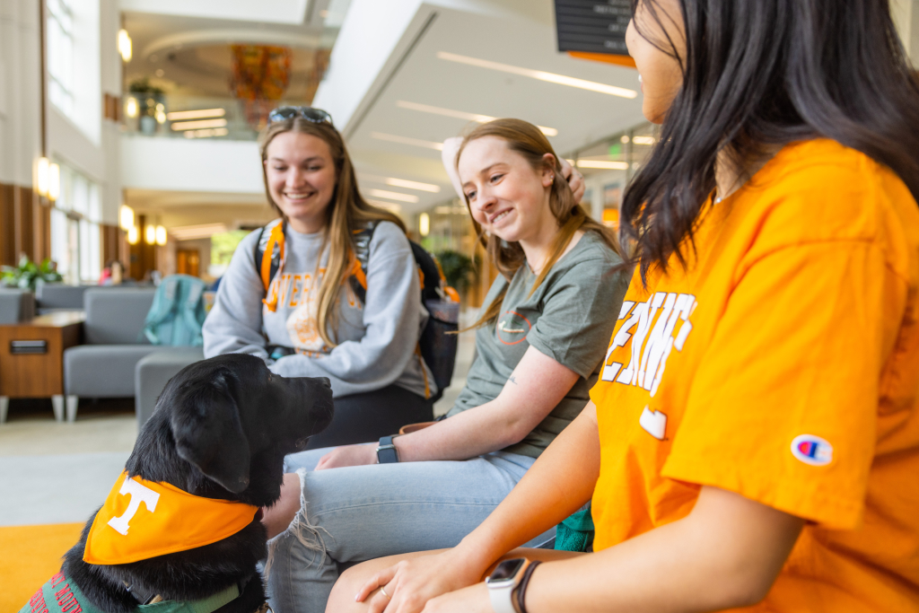 Silas, a Smoky Mountain Service Dog, hangs out with members of Volunteer Puppy Partners, inside the Student Union lobby during a training session