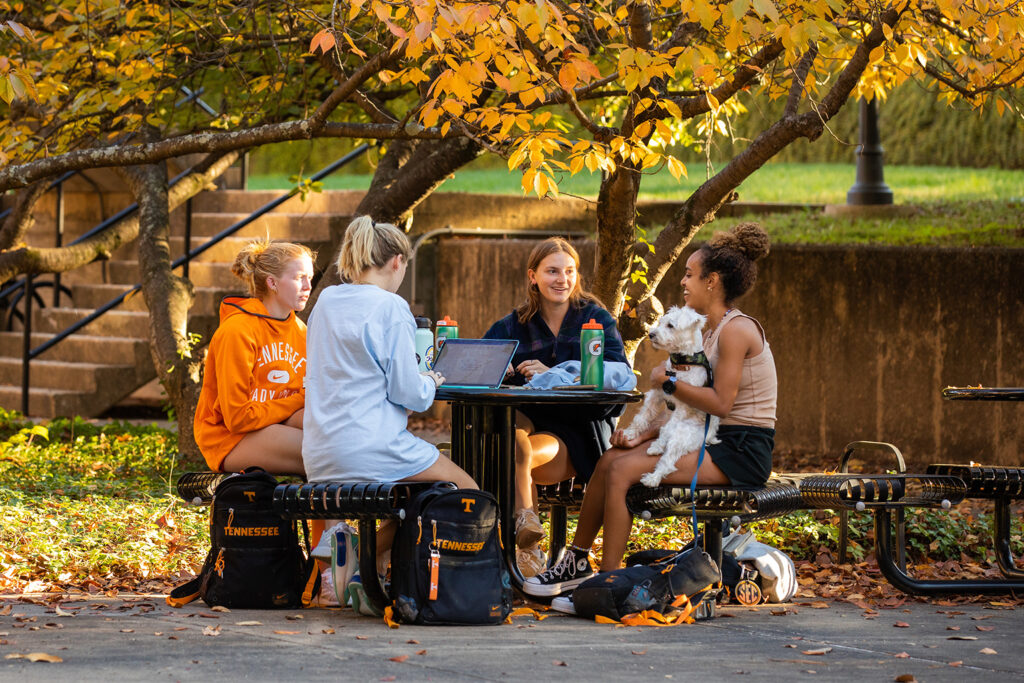 A group of students with a dog study together while enjoying a nice afternoon next to the Humanities building on November 10, 2021.