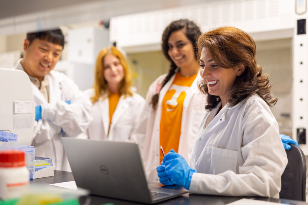 Mahshid Ahmadi works with students inside her lab at the Institute for Advanced Materials and Manufacturing building on August 17, 2022. Photo by Steven Bridges/University of Tennessee.
